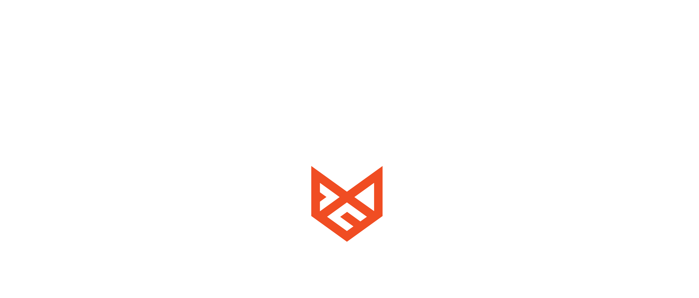 FindingIvyCo